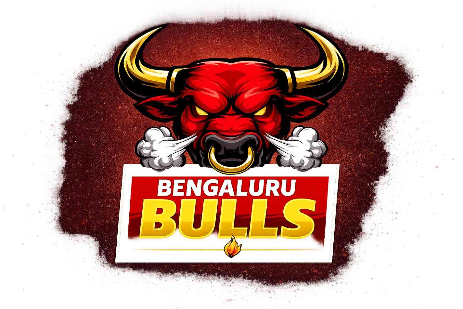 Bengaluru Bulls